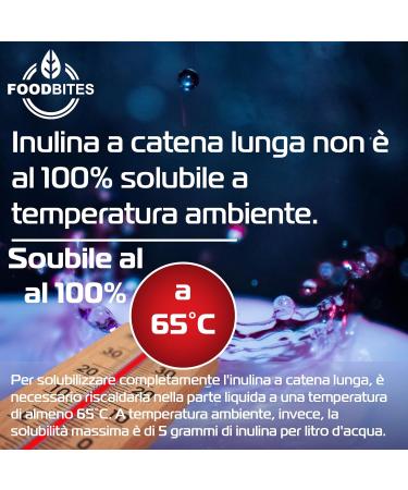 Inulin Powder 100g - Prebiotic Fiber for Physiological Maintenance of the Intestine - Chicory Inulin 100% Purity - Buy Online on GoSupps.com