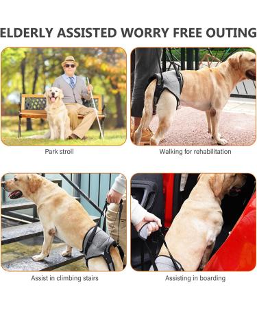 Dog Lifting Harness Dog Support Harness for Back Legs Dog Harness Medium Dog Sling for Back Legs with Lift Handle Adjustable Puppy Harness for Elderly Disabled Joint Injuries Canine Portable(Grey) - Buy Online on GoSupps.com