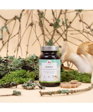 AHCC 60 Capsules - 1 000 mg Shiitake Mushroom Extract for Immune Support | High Bioavailability & Original Formula - Buy Online on GoSupps.com