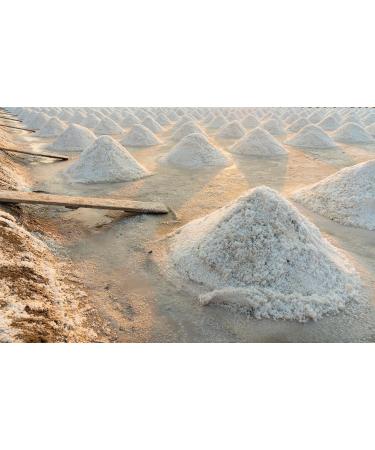 Pure Flourish Celtic Salt 600g - 100% Organic Unrefined Light Grey Salt | Rich in 82+ Essential Minerals | Hand Harvested from France - Buy Online on GoSupps.com