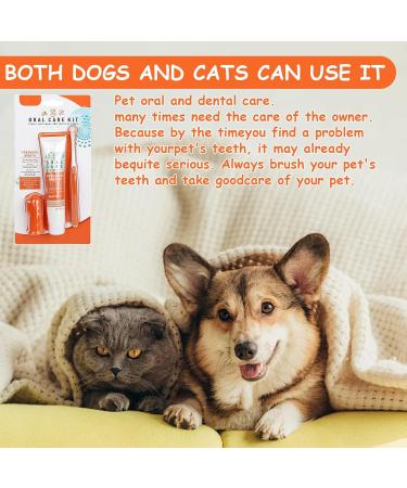 Dog Toothbrush & Toothpaste Set - Tartar Control & Dental Care for Dogs | Beef Flavor | Protect Your Dog's Teeth - Buy Online on GoSupps.com