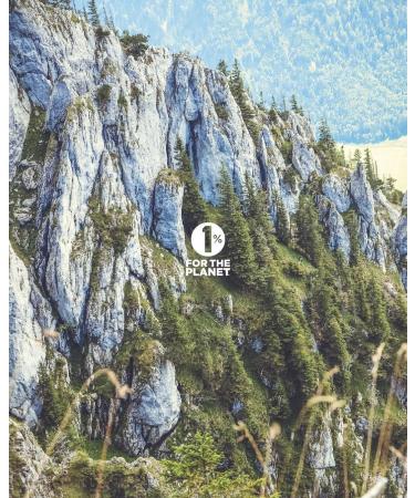 Jackson's #12 Cell Salt Silica 6X (500 Pellet Bottle) - Certified Vegan Lactose-Free Schuessler Tissue Salt Silicea 6X (Made in The USA) - Buy Online on GoSupps.com