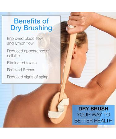3-Piece Dry Brushing Body Brush Set | 100% Natural Boar Bristles | Exfoliating Kit for Skin, Lymphatic Drainage & Cellulite Treatment - Buy Online on GoSupps.com