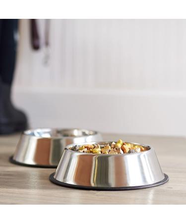 Amazon Basics Stainless Steel Dog Bowl Set - 2 Pack - Buy Online on GoSupps.com
