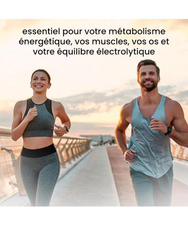 Marine Magnesium 400mg Capsules - 365 Capsules Family Pack | Premium Elemental (Pure) Magnesium Strongly & High Dose Lab Tested - Stearate Free Vegan - Buy Online on GoSupps.com