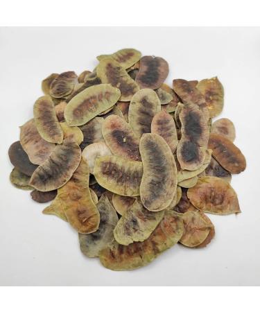 AgoraMarket Dried Senna Pods Herbal Tea 85g to 195KG Premium Quality Senna Alexandrina 220 grams - Buy Online on GoSupps.com