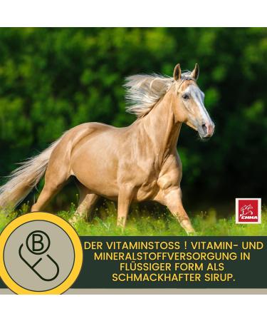 Horses vitamins + amino acids horse mineral food horses vitamins B I vitamin E I vitamin b complex selenium zinc horse vitamin b1 b6 horse strengthen the immune system 1L30ml - Buy Online on GoSupps.com