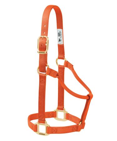 WEAVER Leather Non-adjustable Halter Orange/Sunset Chevron Small Horse