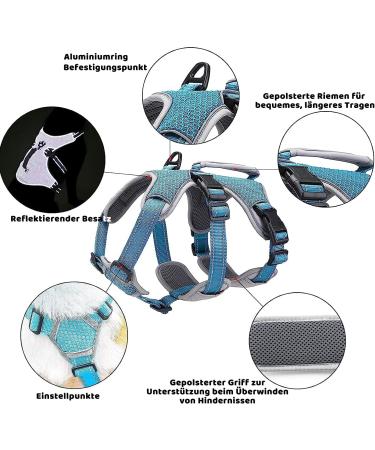 Belpro Multi-Purpose Dog Harness - No Pull Adjustable Reflective Vest for Large Dogs (Blue L) - Durable Handle & Dog Dishes Included - Buy Online on GoSupps.com