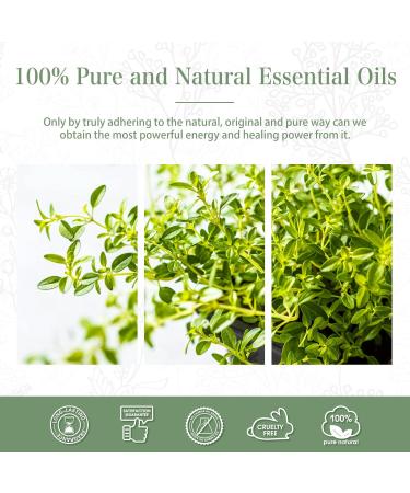 PHATOIL Thyme Essential Oil 30ML - Premium Grade Pure Oil for Aromatherapy Diffusers, Humidifiers, and Candle Making - Buy Online on GoSupps.com