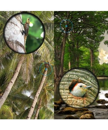 16x52 Monocular Dual Focus Optics Zoom Telescope for Birds Watching/Wildlife/Hunting/Camping/Hiking/Tourism/Armoring/Living Concert 66m/8000m - Buy Online on GoSupps.com