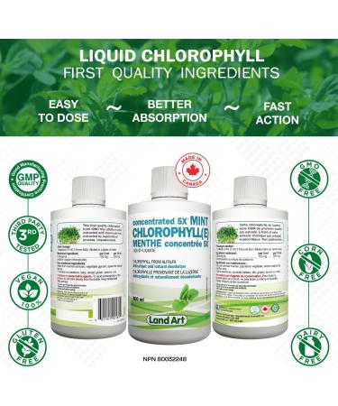 Liquid Chlorophyll Mint 5X Concentrated 500ml Cold Extracted from Non-GMO Alfalfa - Detox - Alkaline - Natural Body Deodorant Antioxidant - Made in Canada - Buy Online on GoSupps.com