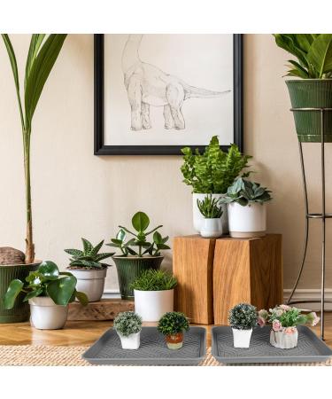 Durable Shoe Cutter Set for Pets - 43x33 cm Ideal for Dogs Garden & Mud Room - Indoor/Outdoor Use - Stylish Gray - Buy Online on GoSupps.com