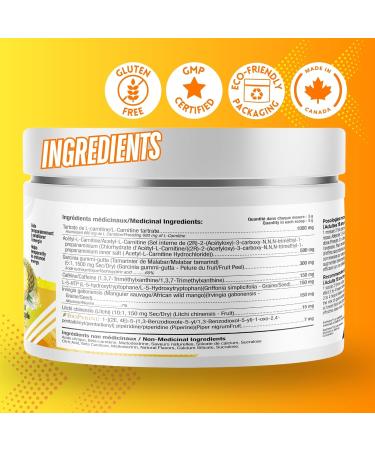 Shop Sante Burner | Fat Burner Energy Booster Garcinia Cambogia & L-Carnitine | Sugar-Free Enhances Metabolism & Suppresses Appetite Pineapple 150gr 30 Servings - Buy Online on GoSupps.com