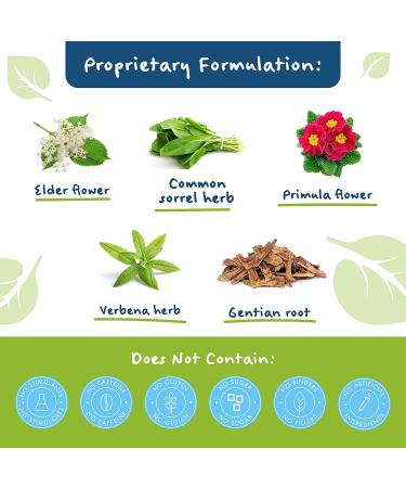 Sinupret Adult Strength - Herbal Sinus & Immune Support, 50 Tablets | All-Natural Fast Acting Supplement - Buy Online on GoSupps.com