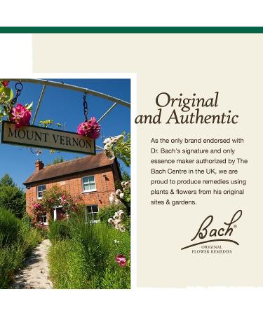 Bach Original Flower Remedies Holly 20mL Dropper - Natural Homeopathic Essence for Goodwill & Stress Relief - Vegan Formula - Buy Online on GoSupps.com