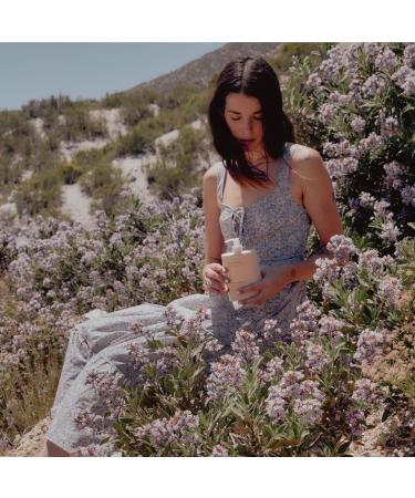 Routine The Curator 350ml Natural Body Cream | Eucalyptus Geranium Black Spruce & Cocoa | Vegan No Synthetic Fragrance Clinically Tested | Luxurious Hands & Body Care - Buy Online on GoSupps.com