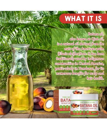INBOLM Batana Oil Raw Batana Oil Batana Oil For Hair Growth Batana Oil Organic 100% Natural Batana Oil from Repairs Damaged Hair Skin Reduces Hair LossMiracle Oil for Healthier Thicker Fuller 100ml - Buy Online on GoSupps.com