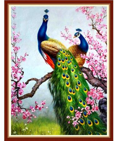 Joyhoor Cross Stitch Kits for Beginners Stamped Cross-Stitch Supplies Needlework preprint Embroidery Kits for Adults DIY Needlepoint Kits Embroidery Patterns 11CT-Auspicious Peacock 15.7 20.9 inch Color 01
