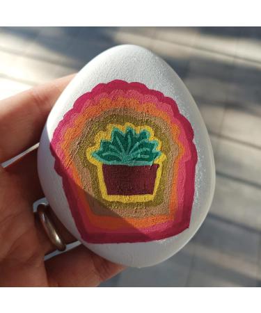 Kalapanta Recycled Plastic Decoration Stones for Vases & Aquariums - Eco-Friendly White Decor (S 2-5 cm 155 Pieces) - Buy Online on GoSupps.com