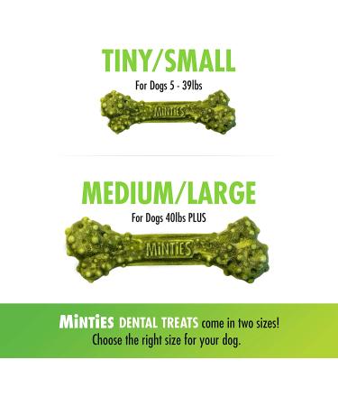 Minties VetIQ Dental Bone Treats for Medium/Large Dogs | Mint Chews, 32oz - Buy Online on GoSupps.com
