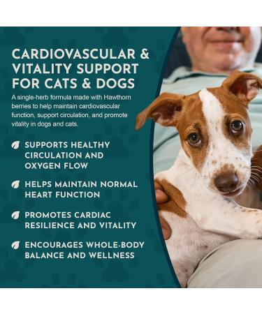 Animal Essentials Hawthorn Berry Supplement for Dogs & Cats - Heart Health Support Herbal Tincture for Pets Natural Liquid Extract for Circulation & Cardiovascular Support Organic Hawthorn- 1 fl oz - Buy Online on GoSupps.com