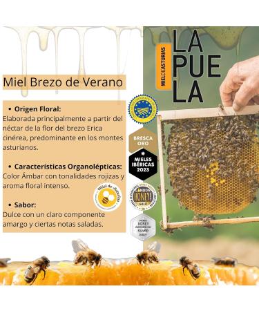 LAPUELA Honey pot made from heather honey Honey of natural origin from Asturias intense and persistent aroma pack 2 750 g Pack 2 750gr 7500 - Buy Online on GoSupps.com