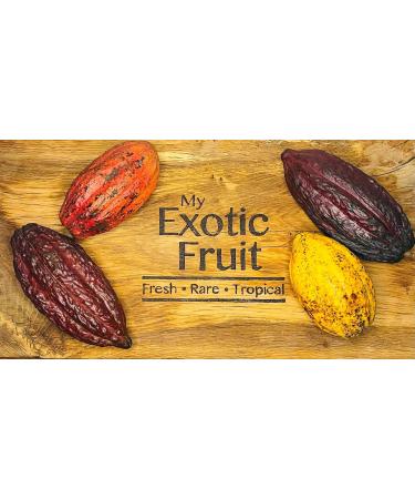 Cacao fruit - cocoa pods - Exotic fruit - Fresh from the Caribbean - Sourced by My Exotic Fruit - Buy Online on GoSupps.com