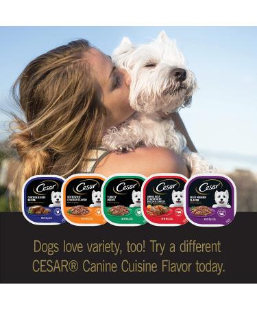 Cesar Gourmet Wet Dog Food Variety Pack - Beef, Filet Mignon, Chicken, Steak - 3.5 oz x 24 - Buy Online on GoSupps.com