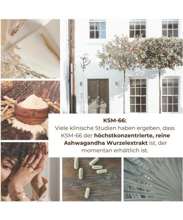 Ashwagandha Root Extract 600 mg KSM-66 - 240 Vegan Capsules | Supports Sleep & Stress Relief | Lab Tested in Germany - Buy Online on GoSupps.com