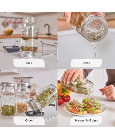 Seed Sprouting Jar Lids - 2 Pack Stainless Steel Strainer Screens for Regular Mouth Mason Jars | Grow Fresh Broccoli, Alfalfa, Beans at Home - Buy Online on GoSupps.com