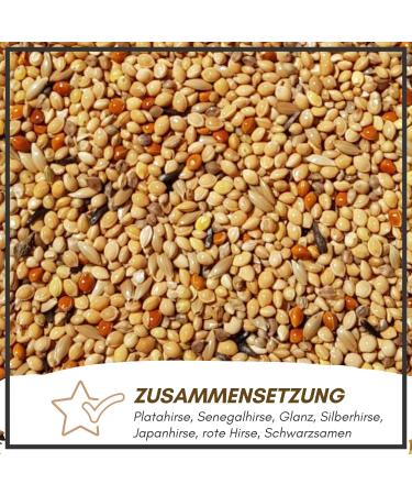 Supravit Exotic Feed 2.5kg | High-Quality Mixed Feed for Exotic Finches | Boosts Feather Health & Mating Readiness - Buy Online on GoSupps.com