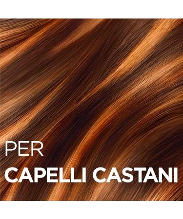 Garnier Olia Highlights Decoloration Treatment for Brown Hair | Ammonia-Free Vegan Silicone-Free Flower Oils & Clay | 4 Levels of Lightening | 2 Packs - Buy Online on GoSupps.com