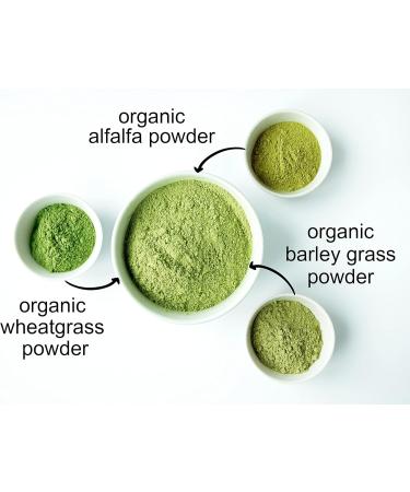 Food to Live Organic SuperGrass Powder Blend Mixed Alfalfa Barley Grass and Wheatgrass Powders. Non-GMO Pure Superfood Vegan Kosher Bulk. Mixes Well. Perfect for Smoothies and Shakes 16 Ounce (Pack of 1) - Buy Online on GoSupps.com