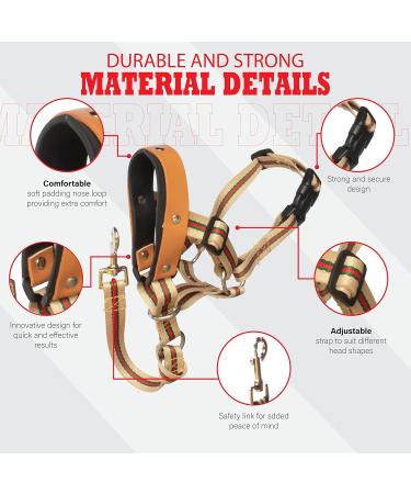 Alpha Boy Dog Training Collar | Comfortable Real Leather Harness for All Breeds | Easy-to-Use with Quick Lock Buckle (XXL) - Buy Online on GoSupps.com