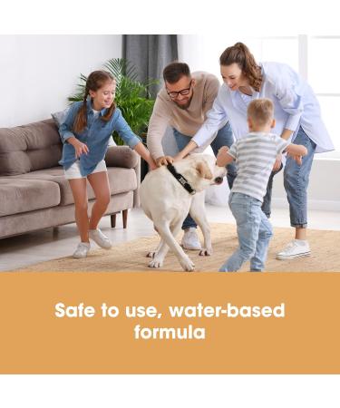 Furniture Clinic 500ml Carpet & Upholstery Protector Spray | Repels Stains & Water | Fabric Protector for Sofas, Carpets, Car Seats, Shoes - Buy Online on GoSupps.com