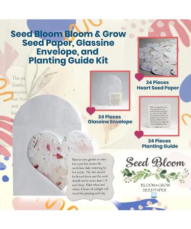 Seed Bloom 24-Piece Handmade Wildflower Seed Paper Gift Set | Recycled Seeded Paper Tags & Cards | Stationery & Gift Wrap Supplies with Hearts Envelope & Planting Guide - Buy Online on GoSupps.com