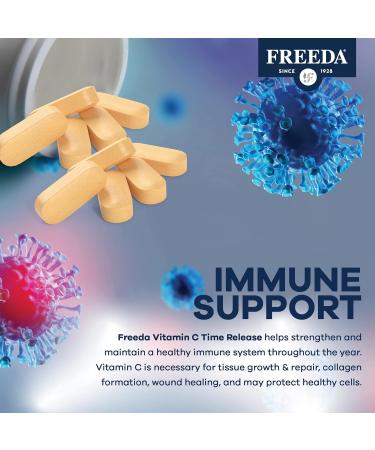 FREEDA Timed Release Vitamin C 1000mg Slow-Release for All-Day Immune & Antioxidant Support Gentle on Stomach Kosher & Vegan High-Absorption Tablets (100 Tablets) 100 Count (Pack of 1) - Buy Online on GoSupps.com