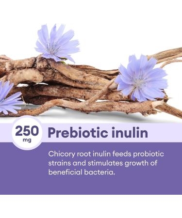 Physician's CHOICE PREBIOTIC PORBIOTIC for Women and Men - 30 CAPSULES - Buy Online on GoSupps.com