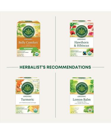 Traditional Medicinals - Organic Ginger Herbal Tea (Pack of 6) - Pleasantly Spicy & Warming - 96 Tea Bags Total Tea Ginger 16 Count (Pack of 6) - Buy Online on GoSupps.com