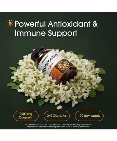 Naturebell Quercetin 1000mg | 240 Capsules | Ultra Strength Bioflavonoids Supplement for Healthy Immune Response, Anti-Inflammatory Support & Internal Circulation - Buy Online on GoSupps.com