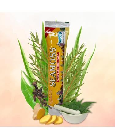 Infinix Seamoss Toothpaste with Clove Tea-Tree Neem Babool and Eucalyptus Oils - Paraben Free & Refreshing Oral Care for Sensitive Teeth - Halal - Pack of 2 - Buy Online on GoSupps.com