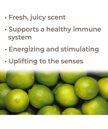Plant Therapy Key Lime Essential Oil 10 mL (1 oz) 100% Pure Undiluted Natural Aromatherapy for Diffusion is Uplifting and Energizing - Buy Online on GoSupps.com