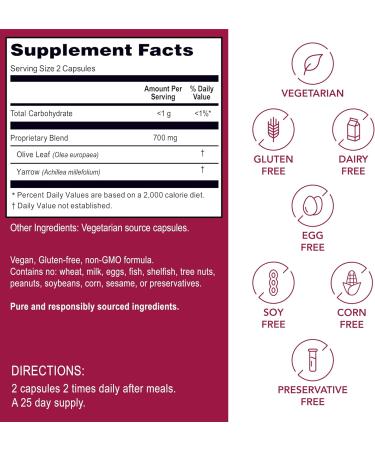 Kroeger Herb Products Olive Leaf Extract Capsules for Immune System Olive Leaf & Yarrow Supplement Vegetarian Non-GMO Gluten Free No Preservatives - 100 Capsules Made in USA - Buy Online on GoSupps.com