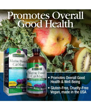 Nature's Answer Calcium Magnesium Vanilla Cream 16oz - Natural Bone & Heart Health Support - Buy Online on GoSupps.com