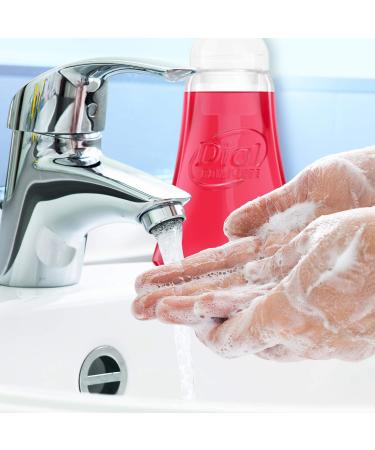 Dial Antibacterial Foaming Hand Wash Power Berries 7.5 oz - Pack of 8 - Buy Online on GoSupps.com