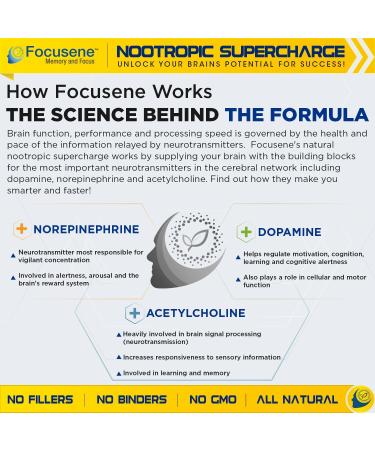Foocusene: Caffeine-Free Mental Focus Supplement for Brain Enhancement & Energy - 60 Premium Capsules - Buy Online on GoSupps.com