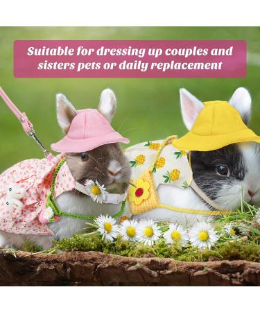 Pet Rabbit Bunny Easter Costume Set with Leash, Hat, and Mini Bag - Pineapple and Cherry Design | Small Animals Accessory for Rabbit, Hedgehog, Ferret, Guinea Pigs, Squirrel - Buy Online on GoSupps.com