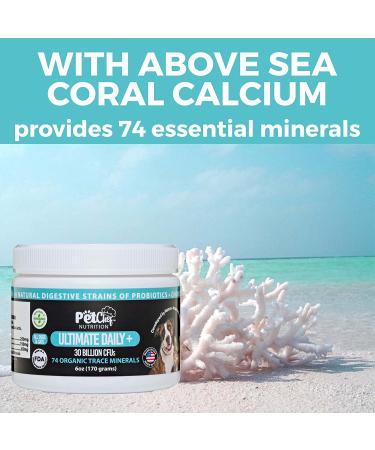 Pet Chef Nutrition Probiotic Powder for Dogs | 30 Billion CFUs, 6 Probiotics, MSM, Chondroitin & Glucosamine | Joint, Gut, Digestive Health - 212 Servings - Buy Online on GoSupps.com