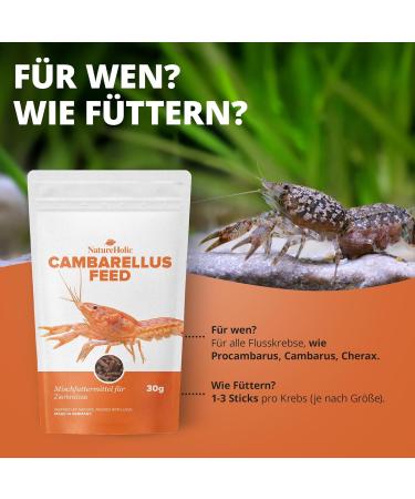 NatureHolic - Camberellusfeed CPO/Dwarf Crayfish Food - 30g Food for Freshwater Crayfish of the Genus Cambarellus Procambarus & Co. - Buy Online on GoSupps.com